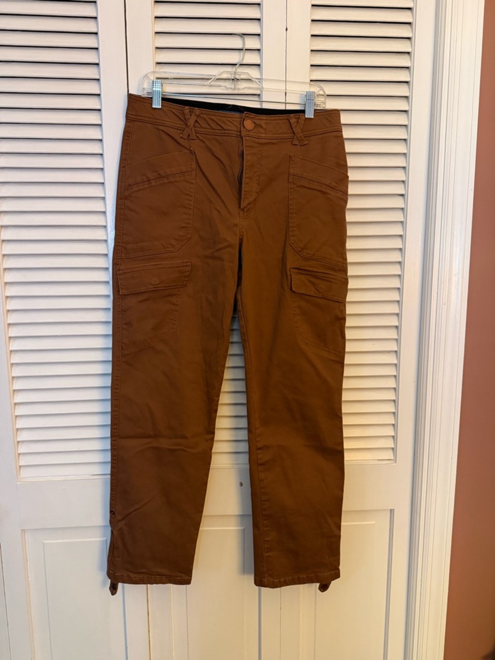 Democracy Straight Leg Cargo Pants in Brown